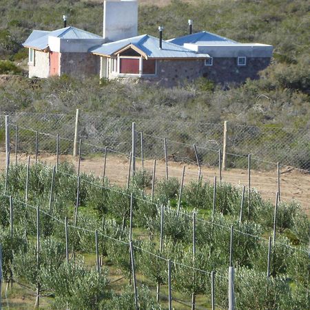 La Calandria Casa De Campo Villa Puerto Madryn Eksteriør bilde