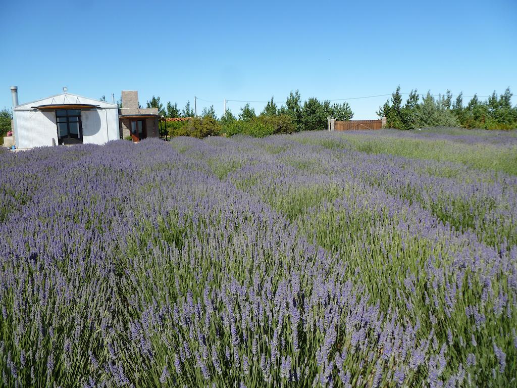La Calandria Casa De Campo Villa Puerto Madryn Eksteriør bilde