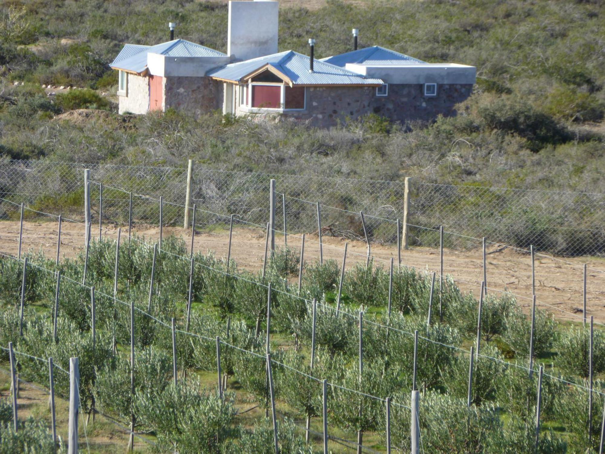 La Calandria Casa De Campo Villa Puerto Madryn Eksteriør bilde