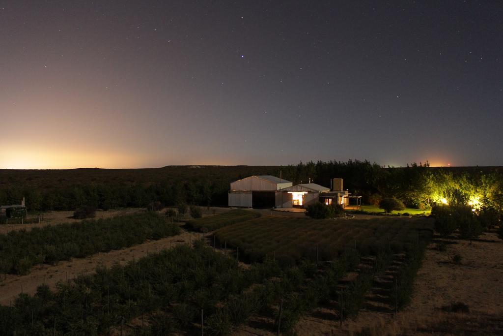 La Calandria Casa De Campo Villa Puerto Madryn Eksteriør bilde