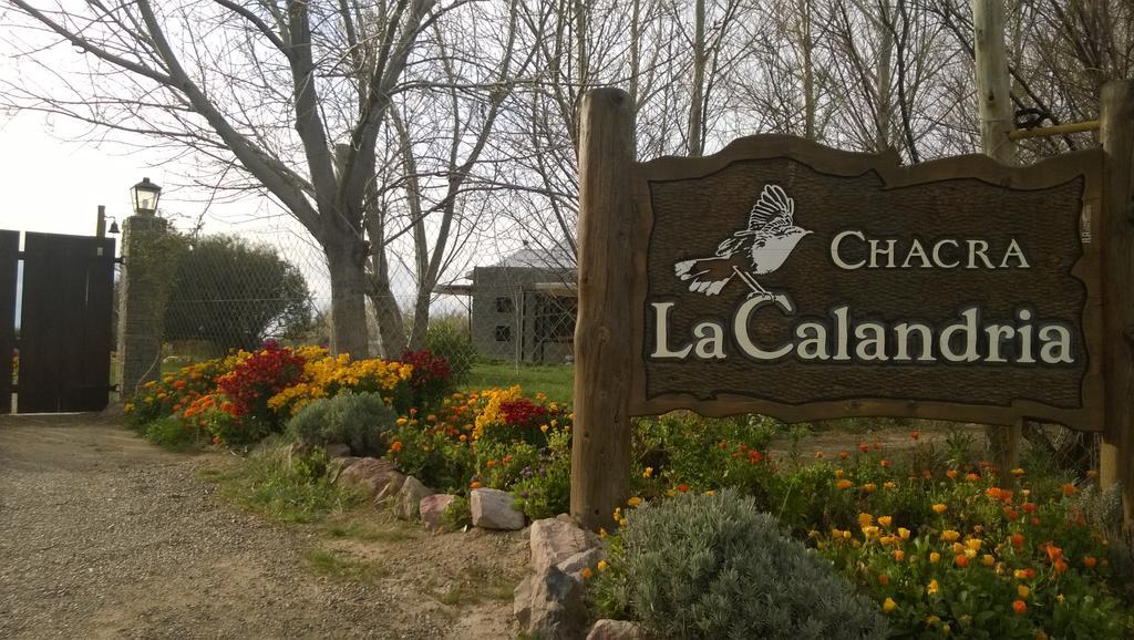 La Calandria Casa De Campo Villa Puerto Madryn Eksteriør bilde