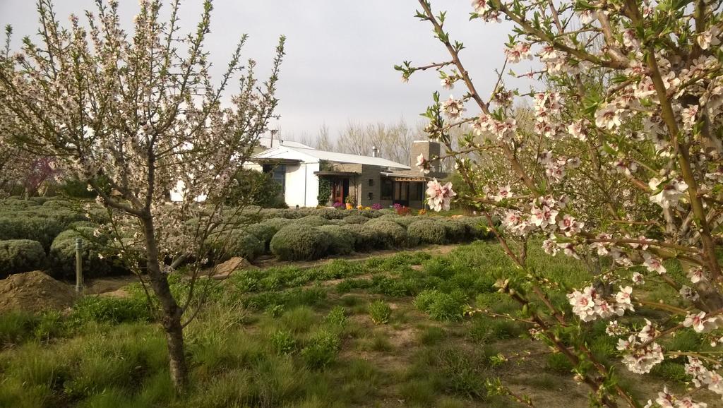 La Calandria Casa De Campo Villa Puerto Madryn Eksteriør bilde