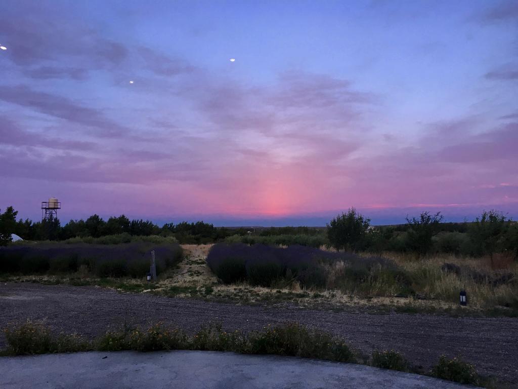 La Calandria Casa De Campo Villa Puerto Madryn Eksteriør bilde