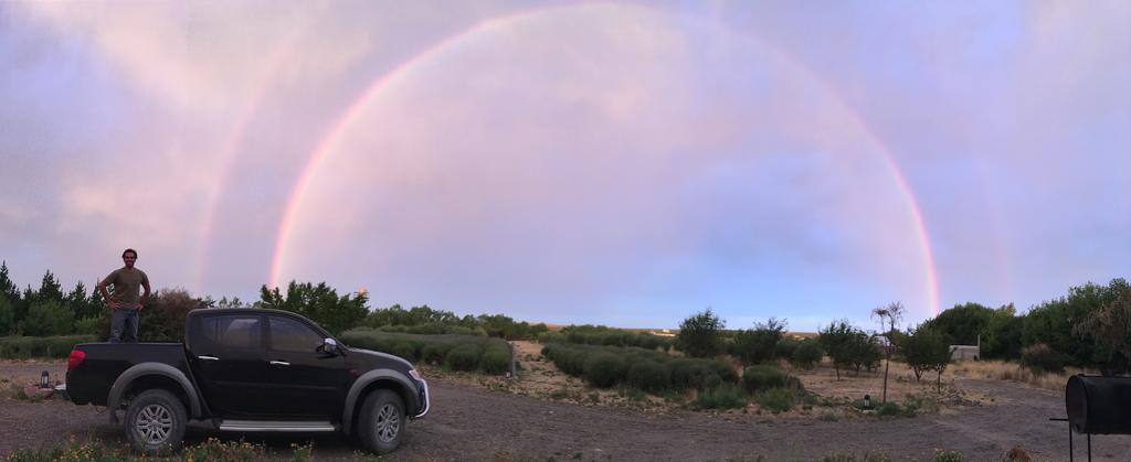 La Calandria Casa De Campo Villa Puerto Madryn Eksteriør bilde