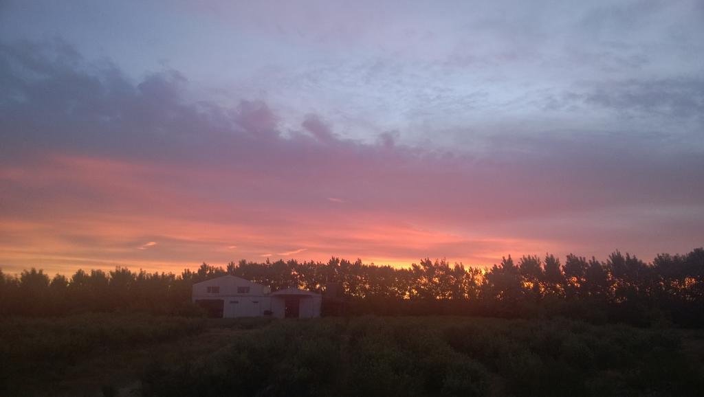 La Calandria Casa De Campo Villa Puerto Madryn Eksteriør bilde